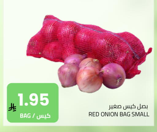 Onion available at Astra Markets in KSA, Saudi Arabia, Saudi - Tabuk