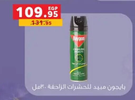 available at بنده in Egypt - القاهرة