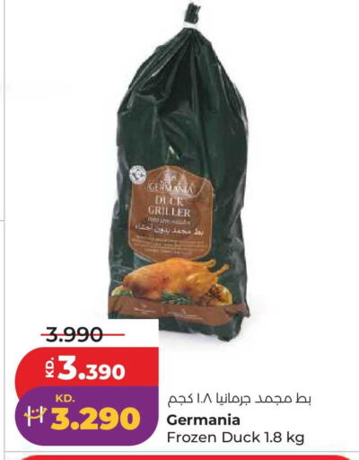 available at لولو هايبر ماركت in الكويت - محافظة الجهراء