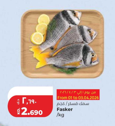 available at لولو هايبر ماركت in الكويت - محافظة الجهراء