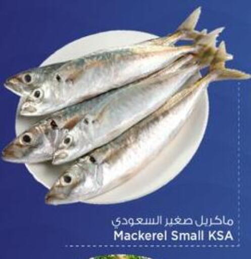 available at Mark & Save  in Qatar - Umm Salal