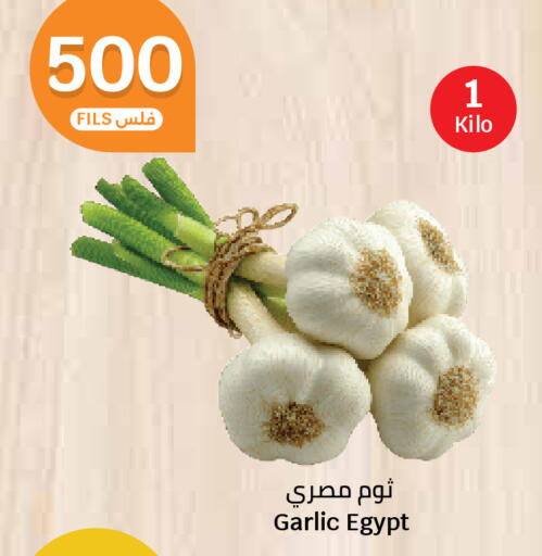 Garlic from Egypt available at سيتي هايبرماركت in الكويت - مدينة الكويت