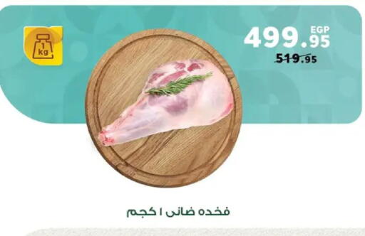 available at Panda  in Egypt - Cairo