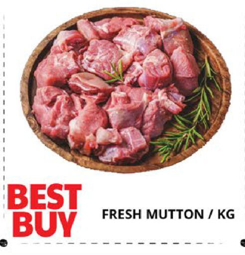 available at اكسبرس المدينة هايبرماركت in الإمارات العربية المتحدة , الامارات - أبو ظبي