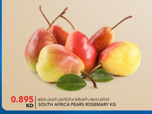 Rosemary available at  ALNASSER HYPERMARKET in Kuwait - Kuwait City