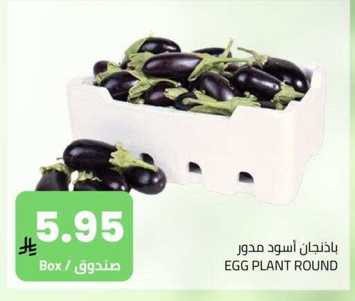 available at Astra Markets in KSA, Saudi Arabia, Saudi - Tabuk