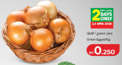 Onion from Egypt available at لولو هايبر ماركت in البحرين