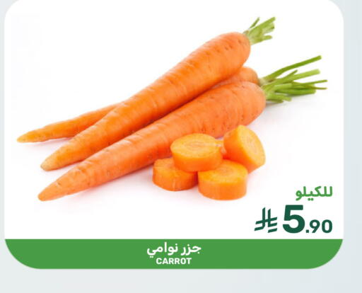 Carrot available at  مـزايــا in مملكة العربية السعودية, السعودية, سعودية - سيهات