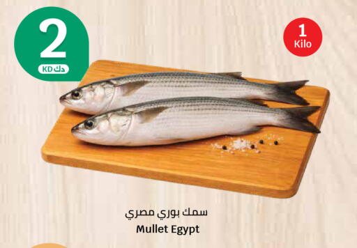 available at City Hypermarket in Kuwait - Jahra Governorate