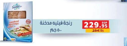 available at بنده in Egypt - القاهرة