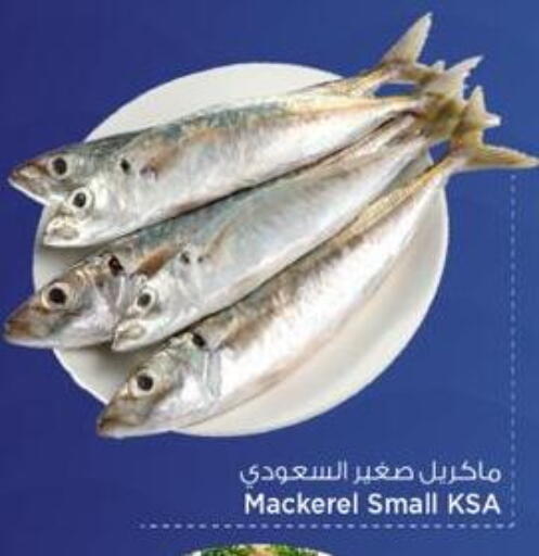 available at مارك & سيف in قطر - الدوحة