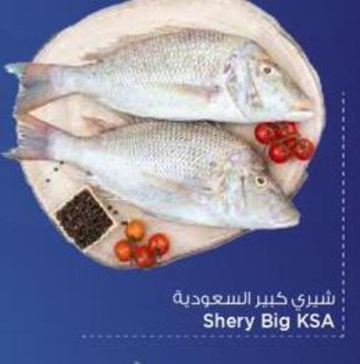 available at Mark & Save  in Qatar - Umm Salal