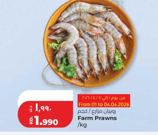 available at لولو هايبر ماركت in الكويت - محافظة الجهراء