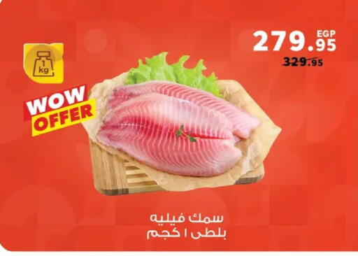 available at بنده in Egypt - القاهرة