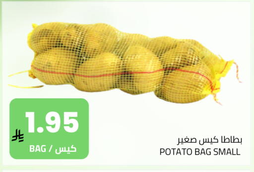 Potato available at Astra Markets in KSA, Saudi Arabia, Saudi - Tabuk