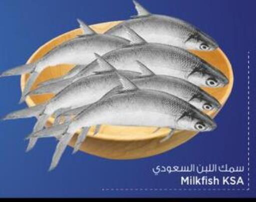 available at Mark & Save  in Qatar - Umm Salal