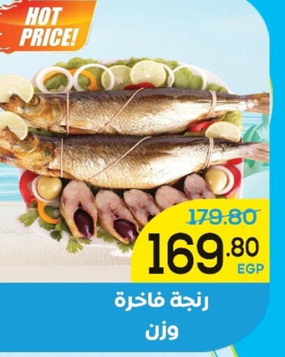 available at اسواق الضحى in Egypt - القاهرة