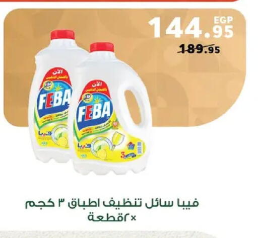 available at بنده in Egypt - القاهرة