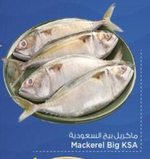 available at Mark & Save  in Qatar - Umm Salal