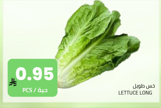 Lettuce available at Astra Markets in KSA, Saudi Arabia, Saudi - Tabuk