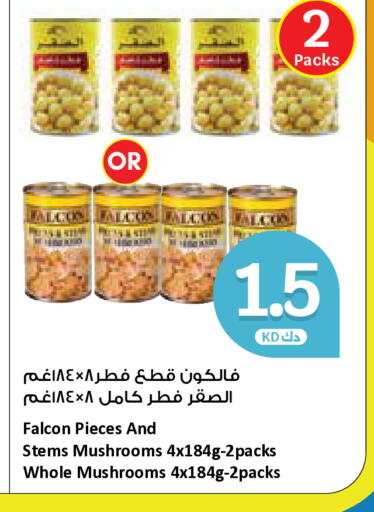 available at سيتي هايبرماركت in الكويت - محافظة الجهراء