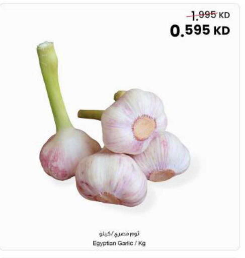 Garlic available at The Sultan Center in Kuwait - Kuwait City