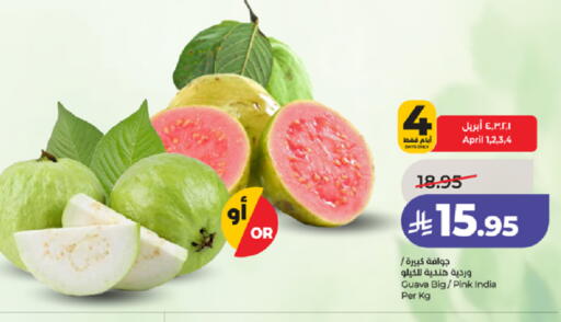 Guava from India available at لولو هايبرماركت in مملكة العربية السعودية, السعودية, سعودية - مكة المكرمة