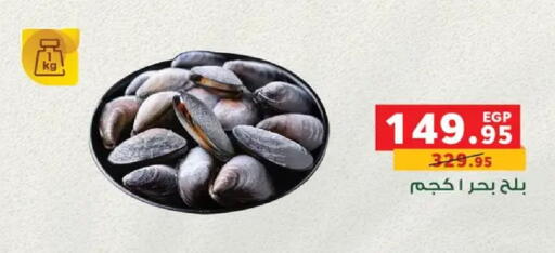 available at Panda  in Egypt - Cairo