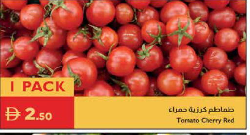 Cherry Tomato available at إسطنبول سوبرماركت in الإمارات العربية المتحدة , الامارات - دبي