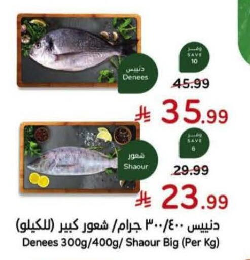 available at Hyper Panda in KSA, Saudi Arabia, Saudi - Abha