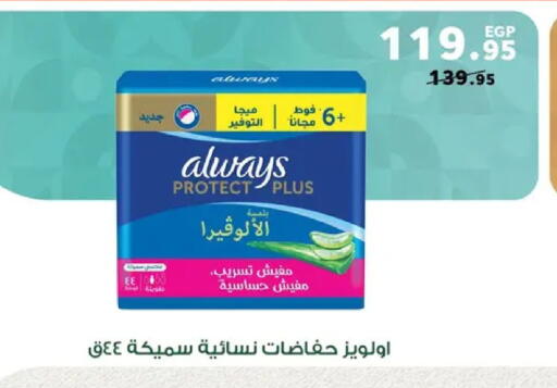 available at بنده in Egypt - القاهرة