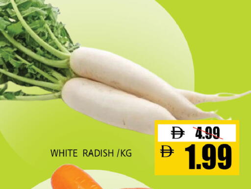Radish available at Leptis Hypermarket  in UAE - Al Ain