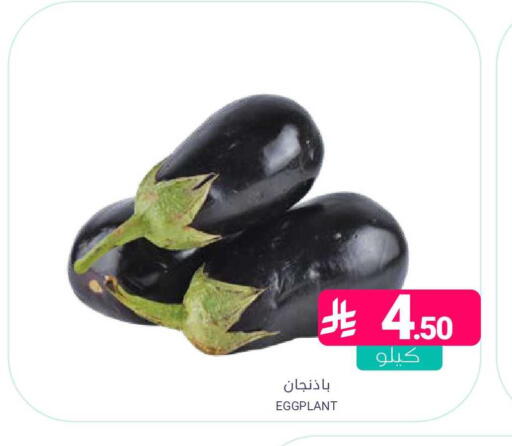 Eggplant available at اسواق المنتزه in مملكة العربية السعودية, السعودية, سعودية - المنطقة الشرقية