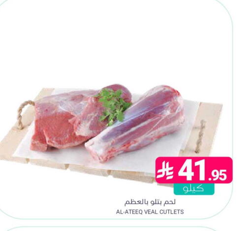 available at اسواق المنتزه in مملكة العربية السعودية, السعودية, سعودية - المنطقة الشرقية