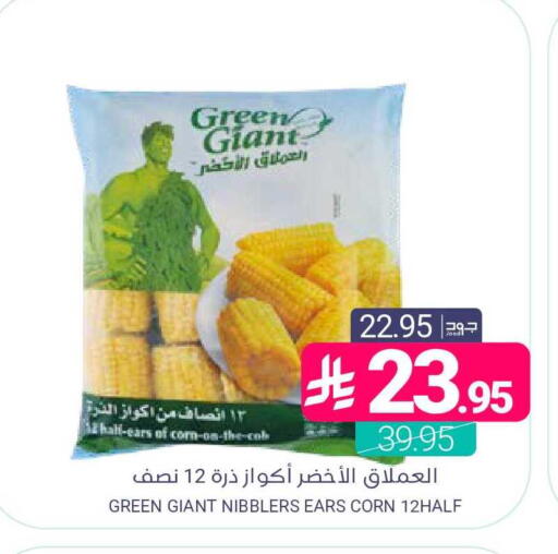 available at Muntazah Markets in KSA, Saudi Arabia, Saudi - Qatif