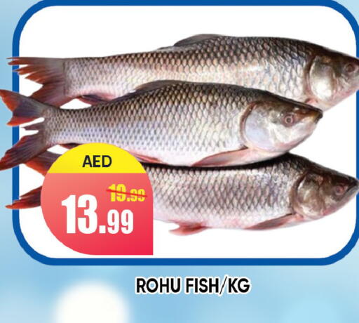 available at Leptis Hypermarket  in UAE - Ras al Khaimah
