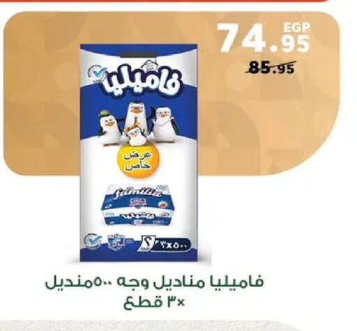 available at بنده in Egypt - القاهرة