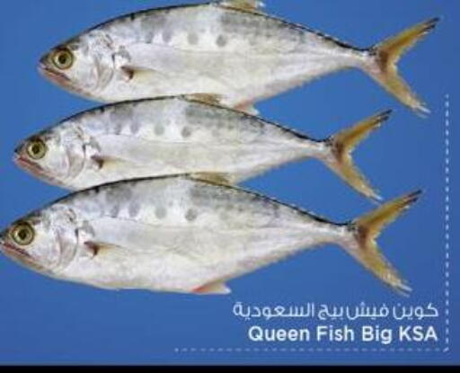 available at مارك & سيف in قطر - الدوحة