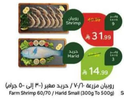 available at هايبر بنده in مملكة العربية السعودية, السعودية, سعودية - ينبع