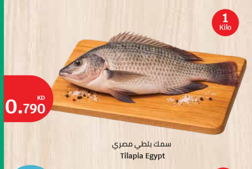 available at City Hypermarket in Kuwait - Jahra Governorate
