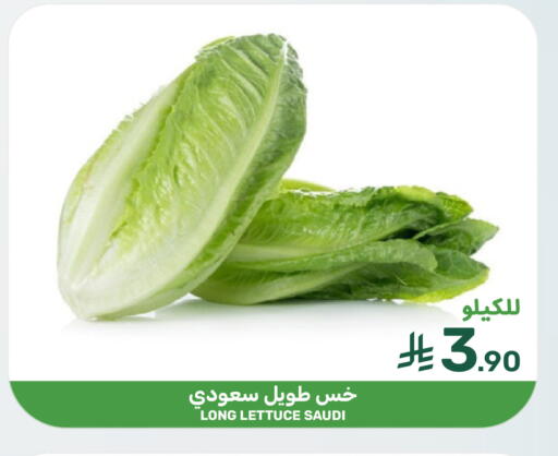 Lettuce from Saudi Arabia available at  مـزايــا in مملكة العربية السعودية, السعودية, سعودية - القطيف‎