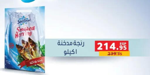 available at بنده in Egypt - القاهرة