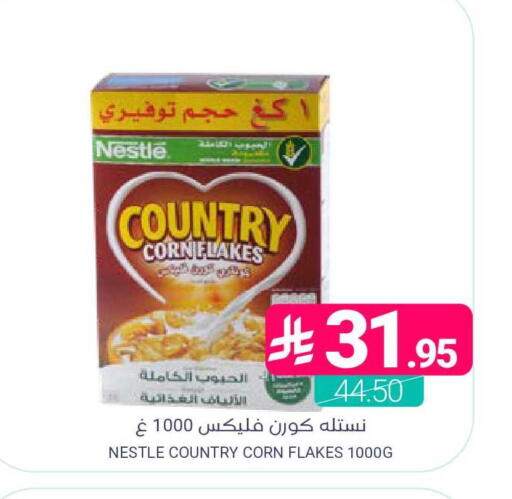 available at Muntazah Markets in KSA, Saudi Arabia, Saudi - Dammam