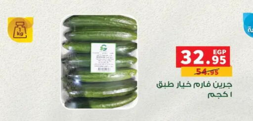 available at بنده in Egypt - القاهرة