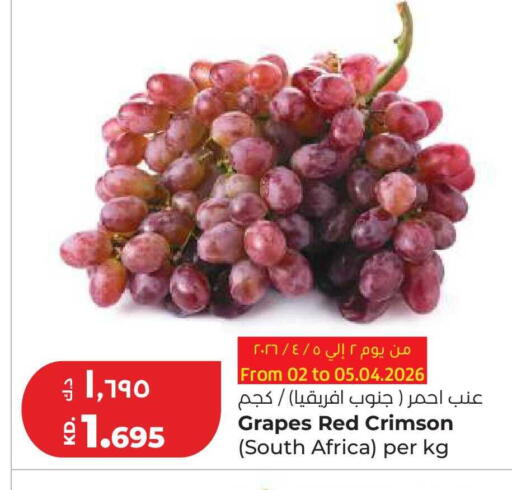 Grapes from South Africa available at Lulu Hypermarket  in Kuwait - Ahmadi Governorate