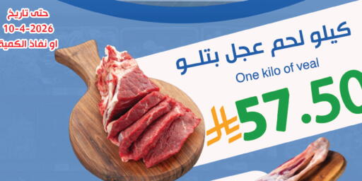 available at متاجر أبياتي in مملكة العربية السعودية, السعودية, سعودية - المدينة المنورة