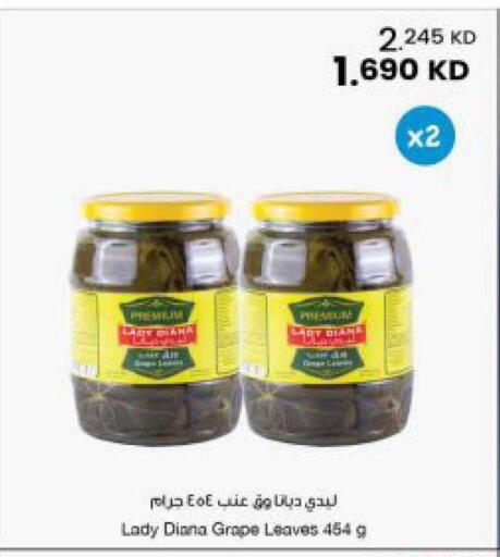 available at مركز سلطان in الكويت - محافظة الجهراء