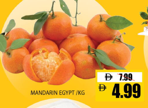 Mandarin from Egypt available at Leptis Hypermarket  in UAE - Al Ain
