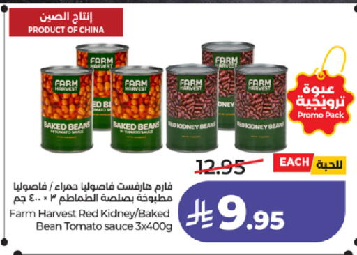 Tomato available at لولو هايبرماركت in مملكة العربية السعودية, السعودية, سعودية - ينبع