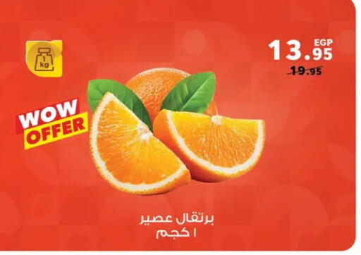 available at بنده in Egypt - القاهرة